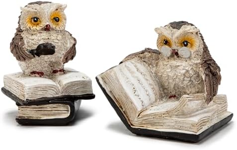 Brighomrom Adorable Reading Owl Statues Set