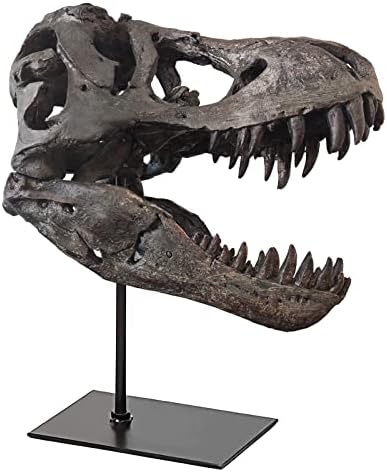T-Rex Skull Resin Replica 118 Inch Home Decor