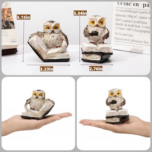 Brighomrom Adorable Reading Owl Statues Set