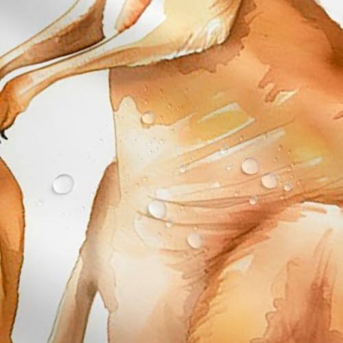 Erosebridal Cute Kangaroo Shower Curtain Set