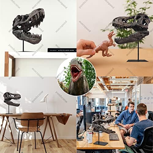 T-Rex Skull Resin Replica 118 Inch Home Decor