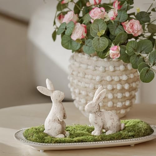 DN DECONATION Easter Bunny Decor Set of 2