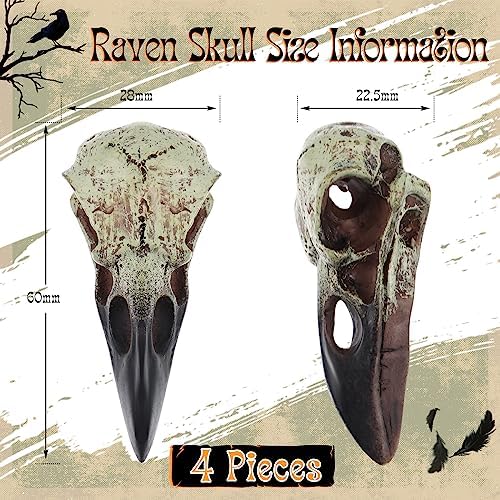 Geetery Halloween Raven Skull Wall Decor 4 Pcs