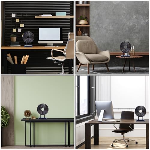 CECKQUE Minimalist Round Black Statue Home Decor
