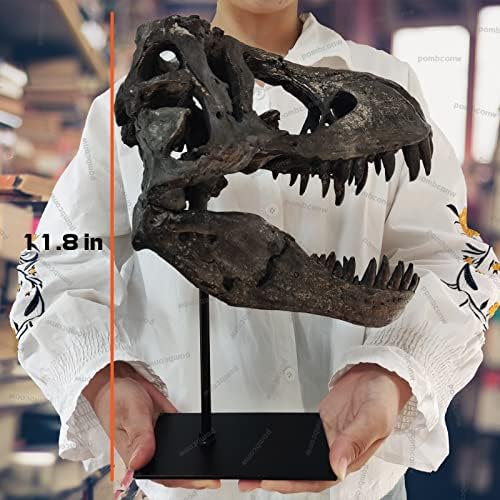T-Rex Skull Resin Replica 118 Inch Home Decor