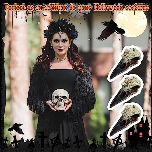 Geetery Halloween Raven Skull Wall Decor 4 Pcs
