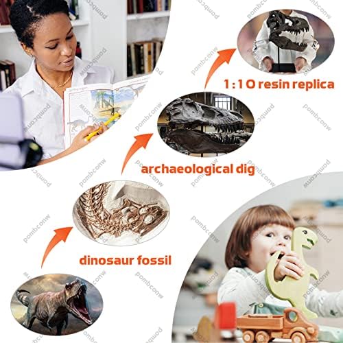T-Rex Skull Resin Replica 118 Inch Home Decor