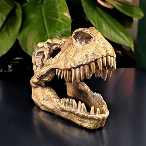 HEINBOW T-Rex Skull Resin Statue 76 Home Decor