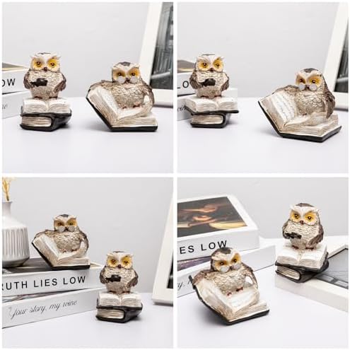 Brighomrom Adorable Reading Owl Statues Set