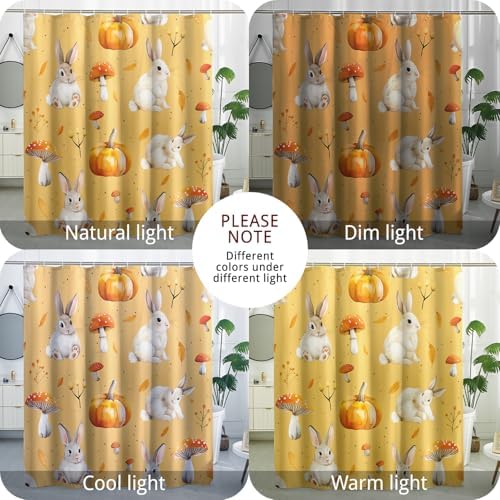 Fall Cartoon Rabbit Shower Curtain Set with 12 Hooks 1
