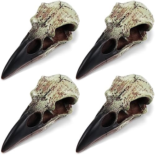 Geetery Halloween Raven Skull Wall Decor 4 Pcs