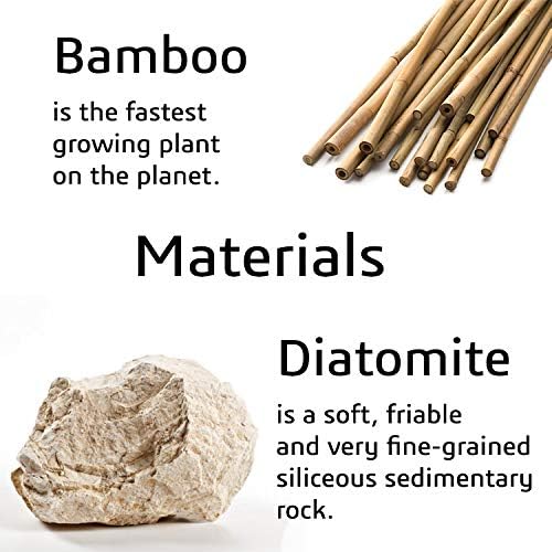 Matani Bamboo Toothbrush Holder - 360 Drain Dry ECO Friendly