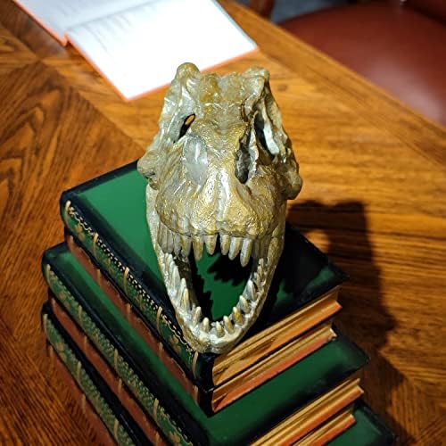 HEINBOW T-Rex Skull Resin Statue 76 Home Decor