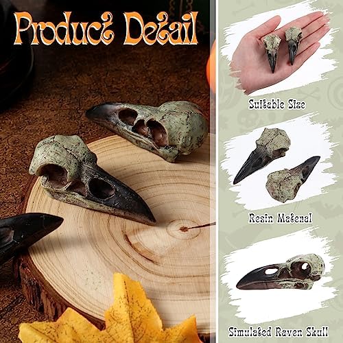 Geetery Halloween Raven Skull Wall Decor 4 Pcs