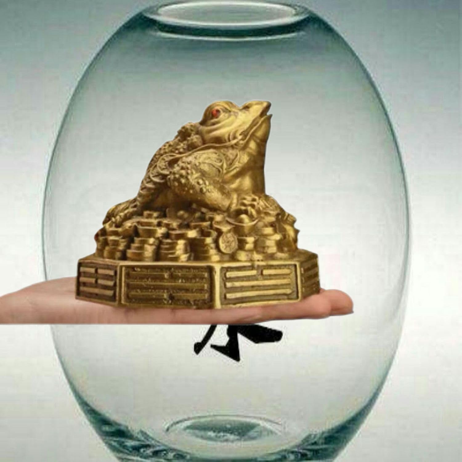 Ecqizer Feng Shui Money Frog Statue