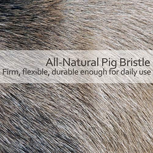 Redecker Natural Pig Bristle Toilet Brush with Beechwood Handle 1