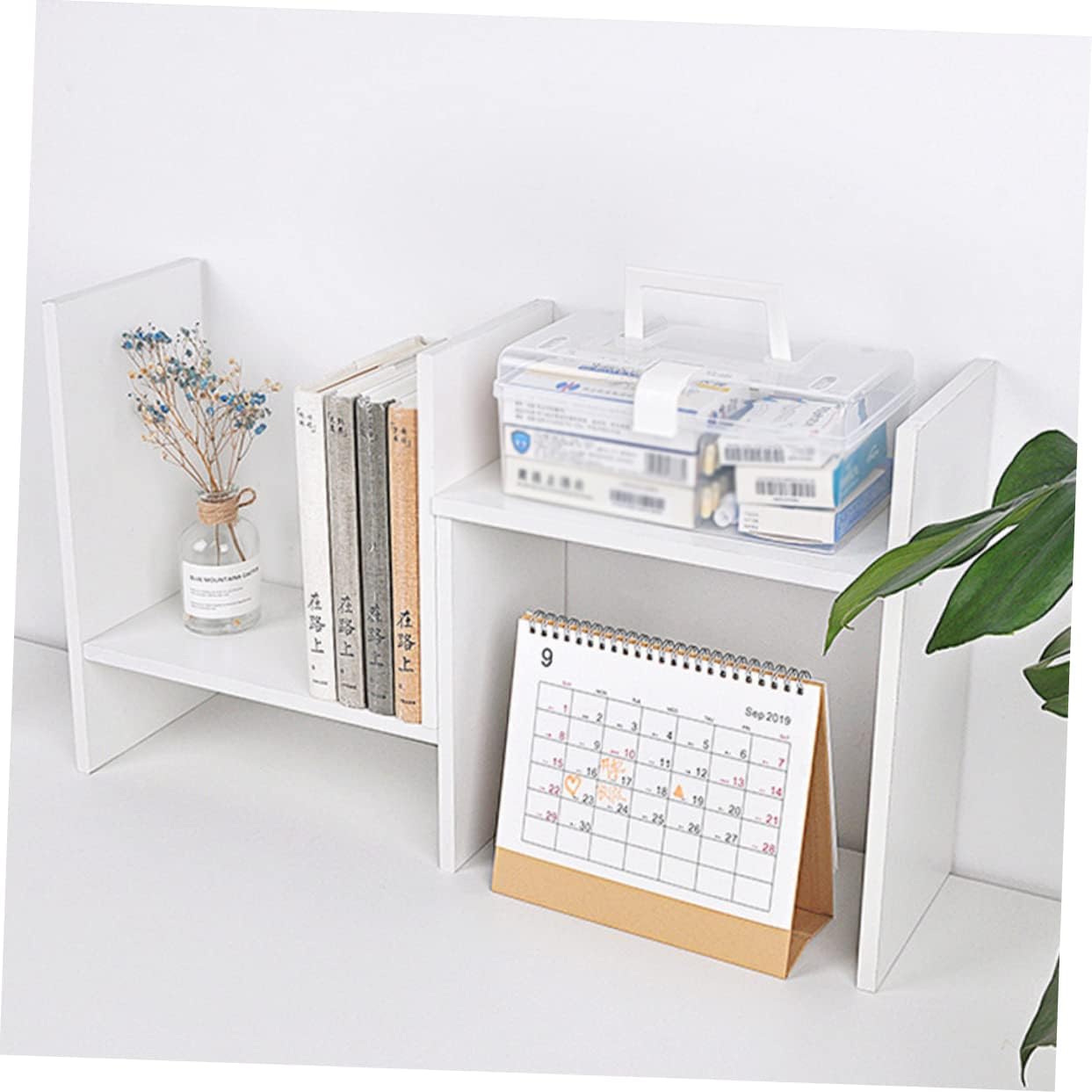 HAKIDZEL Portable Medicine Cabinet with Buckle Design