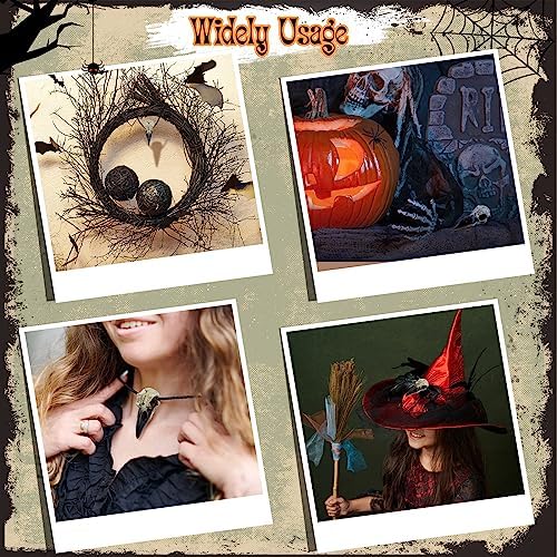 Geetery Halloween Raven Skull Wall Decor 4 Pcs