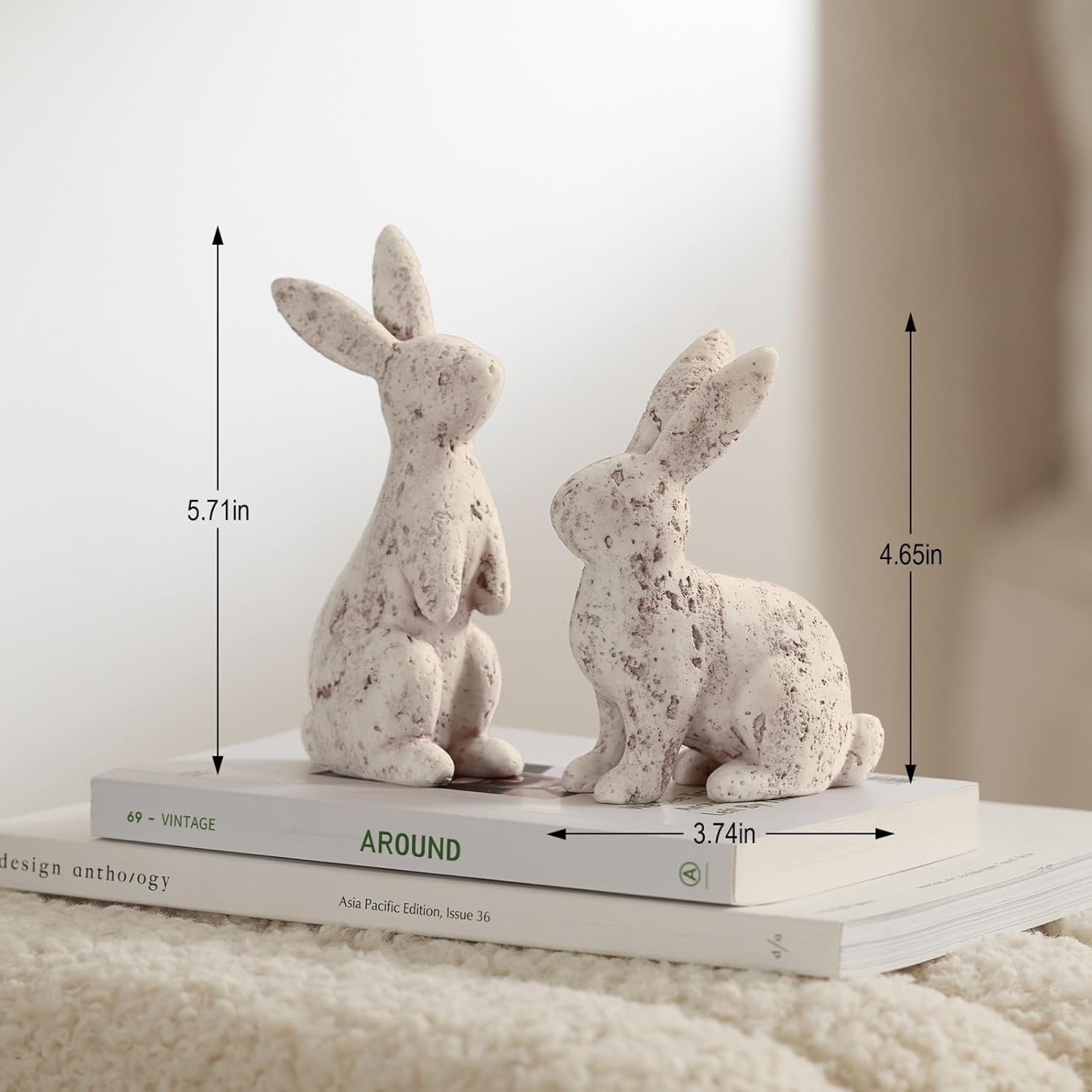 DN DECONATION Easter Bunny Decor Set of 2