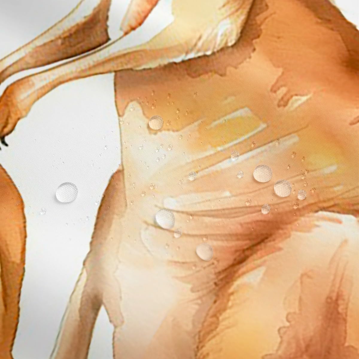 Erosebridal Cute Kangaroo Shower Curtain Set