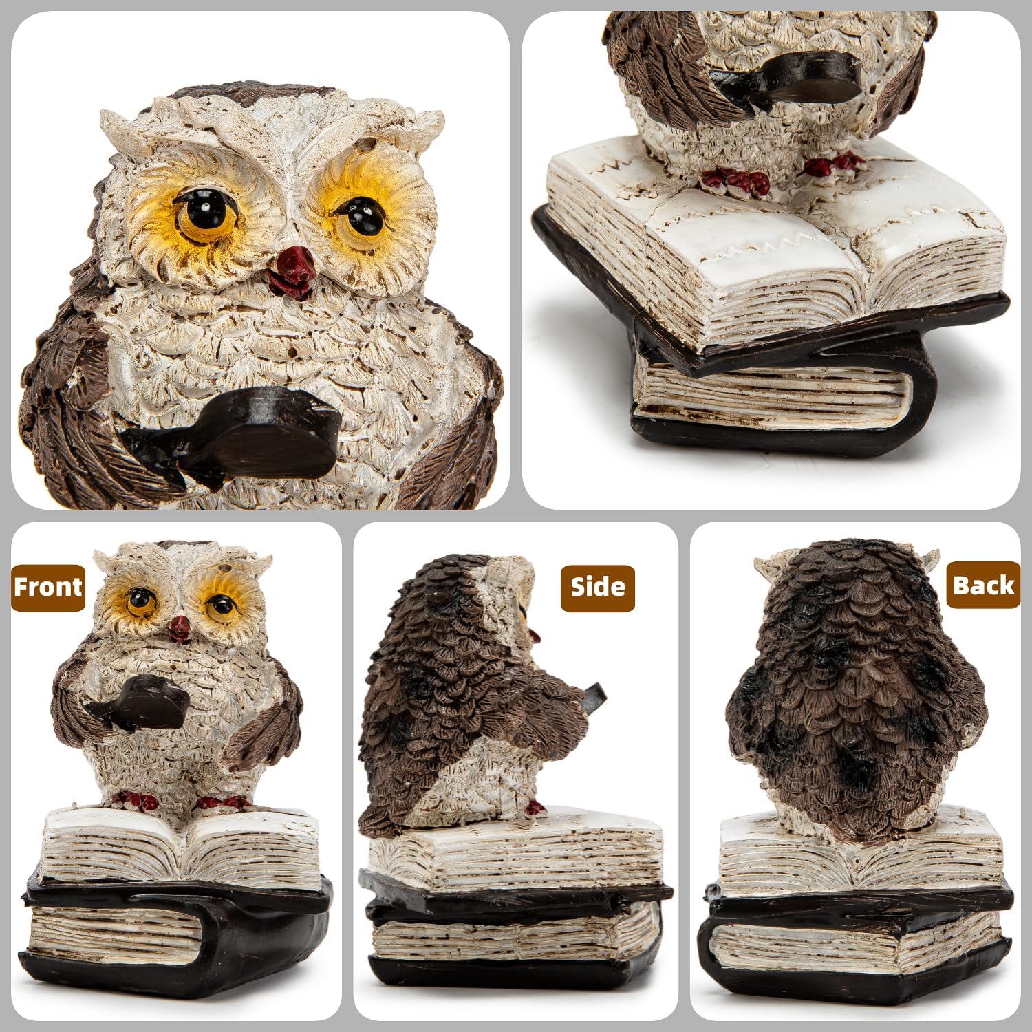Brighomrom Adorable Reading Owl Statues Set