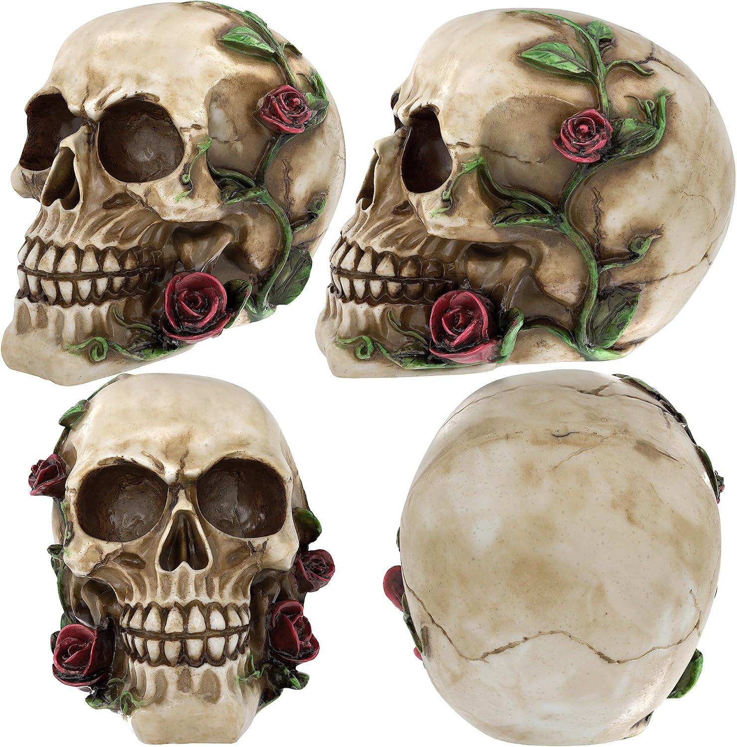 READAEER Human Skull Rose Resin Statue Home Decor