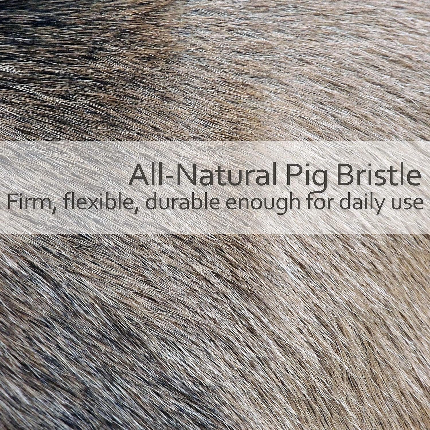 Redecker Natural Pig Bristle Toilet Brush with Beechwood Handle 1